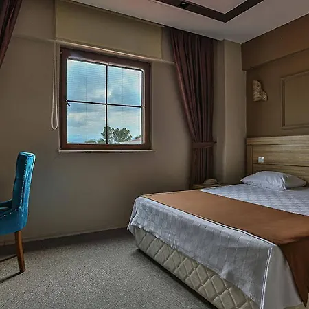 Hotell Grand Ayzek 4*
